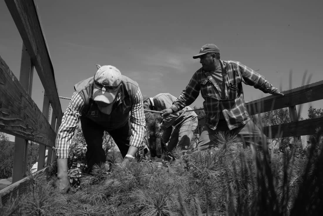 Equipo de Estudio Comala en producción