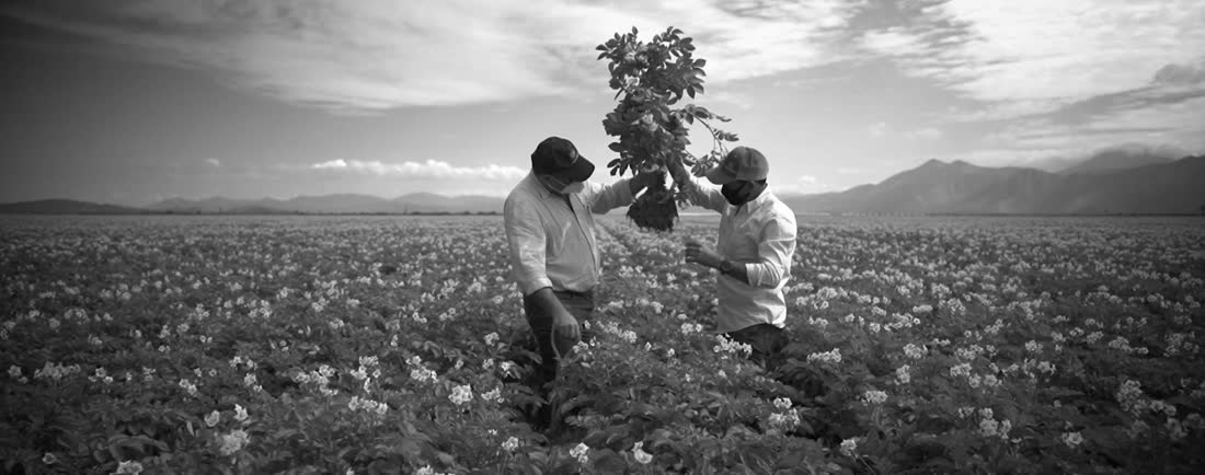 Rodaje documental en el campo